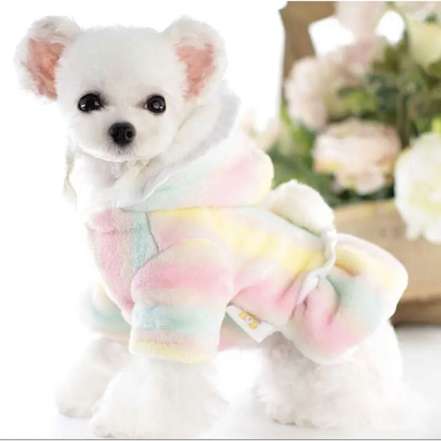 在庫処分セール！冬　犬服 犬の服 ドッグウエア 犬 ペット ふわふわ　可愛い ハンドメイドのペット(ペット服/アクセサリー)の商品写真