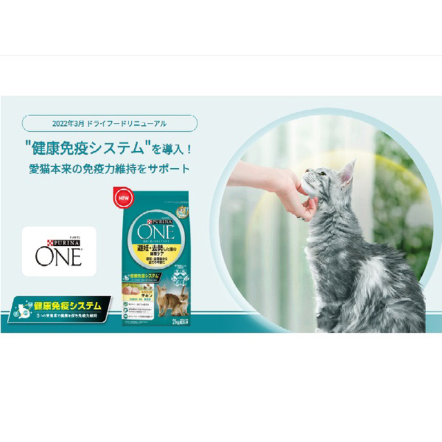 購入正規品 ピュリナワン グレインフリー チキン・猫用 1.6kg×6袋