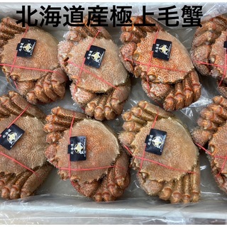 年末用蟹祭り♪北海道産極上毛蟹500g×2匹！蟹味噌と身入り良し！タラバガニ(魚介)