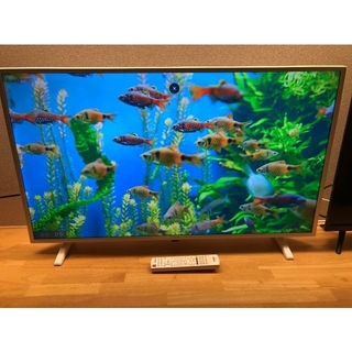 アイリスオーヤマ - アイリスオーヤマ 40型 テレビ LT-40C420W 21年超美品 映り綺麗！