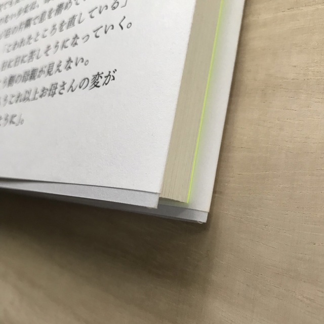 母影　尾崎世界観  クリープハイプ　本 エンタメ/ホビーの本(文学/小説)の商品写真