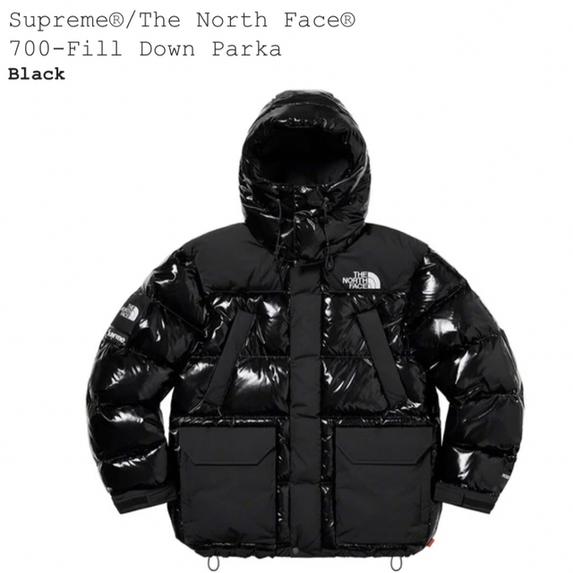 supreme NORTH  FACE 700fill DOWN PARKA