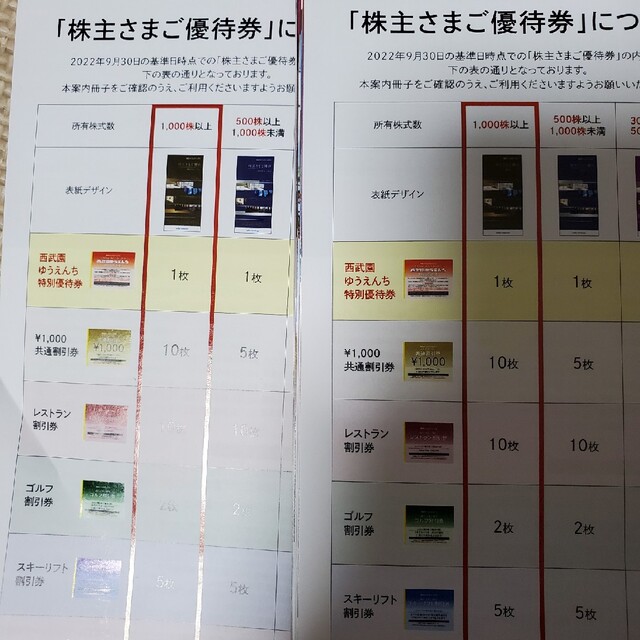 西武ホールディングス　共通割引券　20枚　スキーリフト割引他