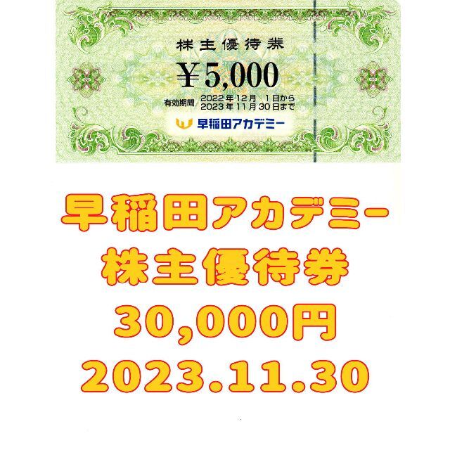 早稲田アカデミー 株主優待券 30000円 2023.11.30 消費税無し www ...