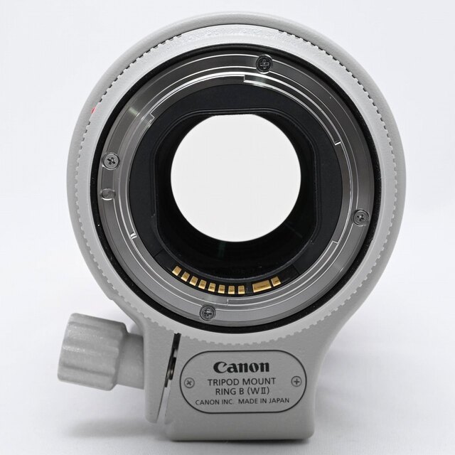 カメラCANON EF70-200mm F2.8L IS III USM