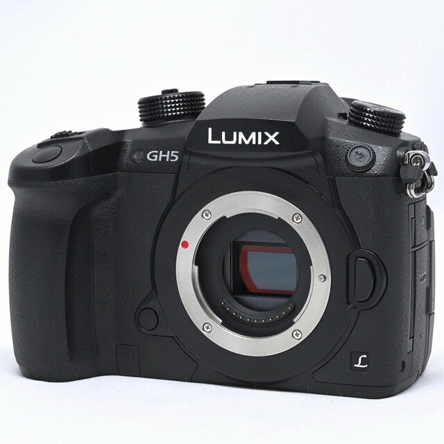 PANASONIC LUMIX GH5 ボディ ブラック DC-GH5-Kスマホ/家電/カメラ