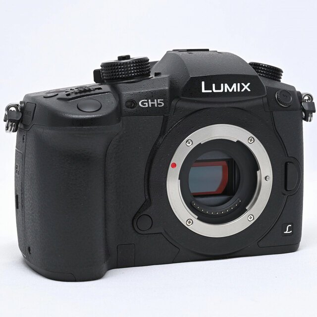 LUMIX GH5 Panasonic DC-GH5-K ボディ本体 おまけあり