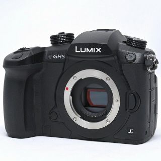 Panasonic - PANASONIC LUMIX GH5 ボディ ブラック DC-GH5-Kの通販 by