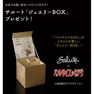 ワコール(Wacoal)の新品・未使用🌹salute🌹ジュエリーBOX(ポーチ)