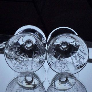 Baccarat - 美オールド バカラ【Argentina】アルジャンティーナ ワイン