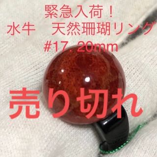 天然珊瑚　20mm. 水牛リング　#17(リング(指輪))