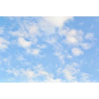 11月30日(その他)