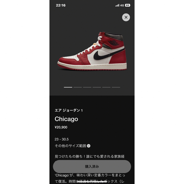 air Jordan1 Chicago "ロスト & ファウンド/シカゴ"