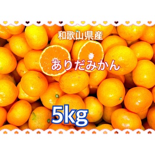 和歌山県産　ありだみかん　混合　5kg(フルーツ)