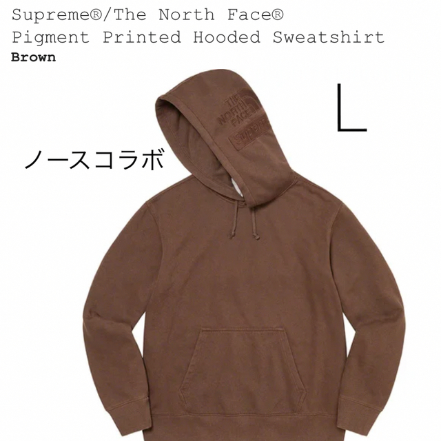 The North Face Pigment Printed Hooded