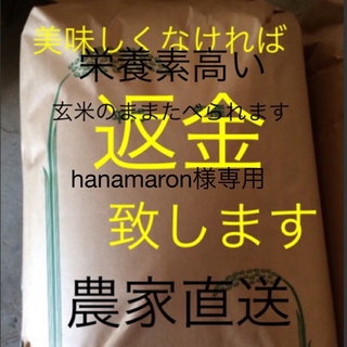 hanamaron様専用　新米無農薬純こしひかり60㎏玄米(米/穀物)