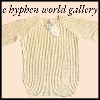 イーハイフンワールドギャラリー(E hyphen world gallery)の【新品未使用】e hyphen world galleryダメージニット　フリー(ニット/セーター)