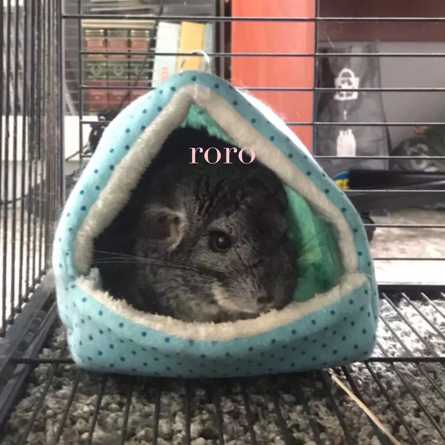 チンチラフェレットモルモットハリネズミペットハウス小動物用品ベッド