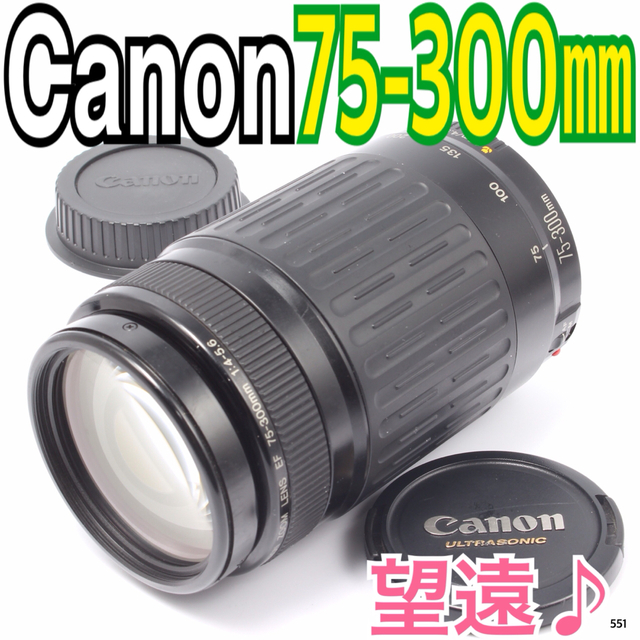 Canon - きらめく瞬間を望遠で！ キヤノン 大迫力望遠レンズ 300mm