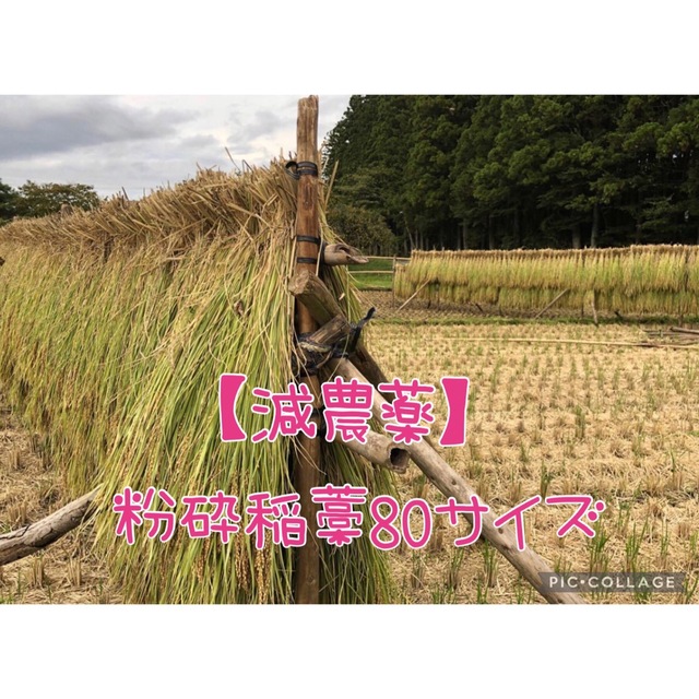 減農薬栽培】粉砕稲藁 80サイズ - フラワー/ガーデン