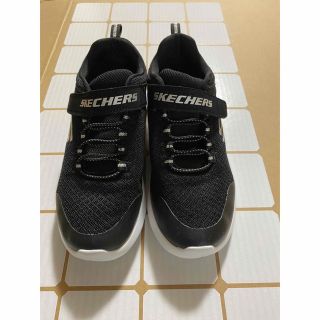 スケッチャーズ(SKECHERS)のキッズシューズ21cm　SKECHERS(スニーカー)