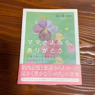 ママ、さよなら。ありがとう 天使になった赤ちゃんからのメッセージ(結婚/出産/子育て)