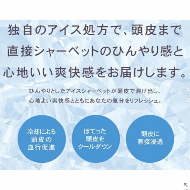 新品★リックス薬用スキャルプ シャーベッツ ★頭皮ひんやりスッキリ11000円分 コスメ/美容のヘアケア/スタイリング(スカルプケア)の商品写真