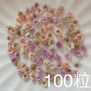 (04)かすみ草ドライフラワー100粒(ドライフラワー)