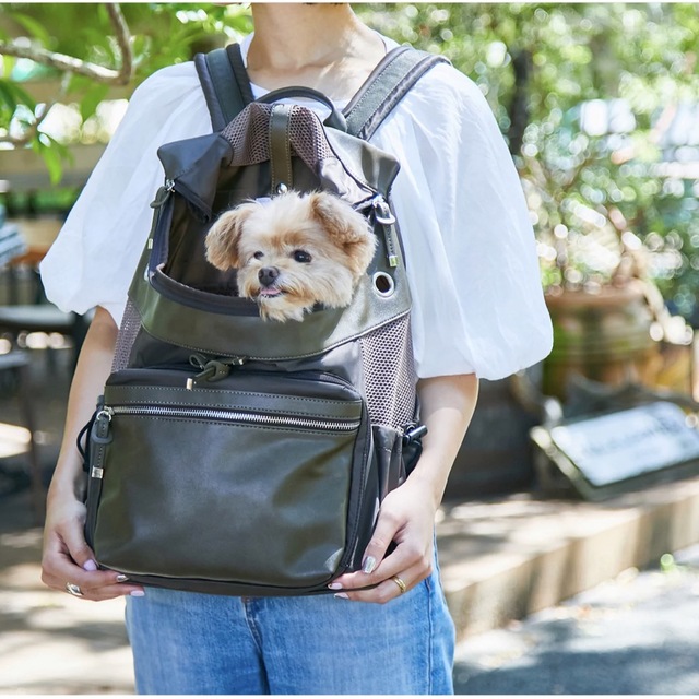 CITY BACKPACK CARRY(値下げ中)のサムネイル
