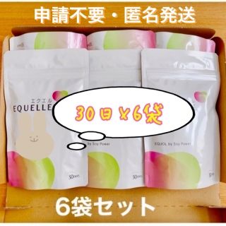 オオツカセイヤク(大塚製薬)のエクエル＊6袋セット＊大塚製薬(その他)