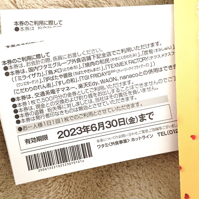 ワタミ(ワタミ)のワタミグループ共通お食事券2500円分【2023.6期限】 チケットの優待券/割引券(レストラン/食事券)の商品写真