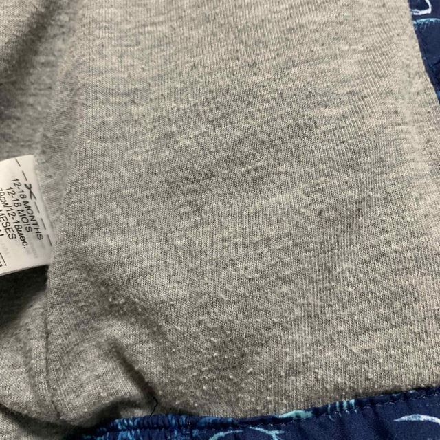 babyGAP(ベビーギャップ)のbabyGAP☆ウィンドブレーカー☆12-18M☆80☆サメ キッズ/ベビー/マタニティのベビー服(~85cm)(ジャケット/コート)の商品写真