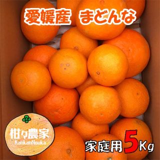 愛媛県産 愛果28号（紅マドンナ同品種）5キロ　家庭用(フルーツ)