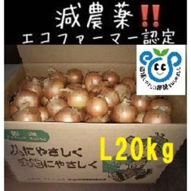 北海道産玉ねぎ 20kg Lサイズ 食品/飲料/酒の食品(野菜)の商品写真