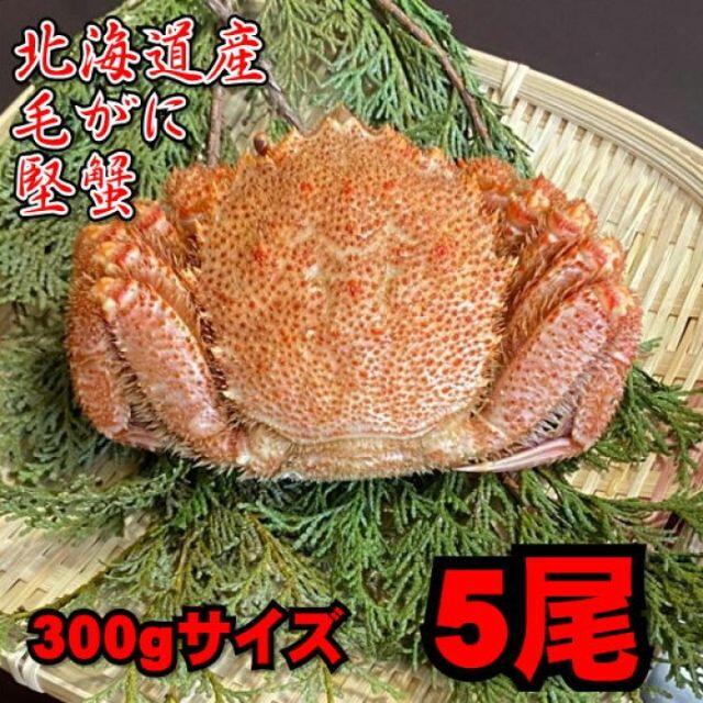 【北海道産】高級ボイル毛がに約300-350ｇ　5尾セット