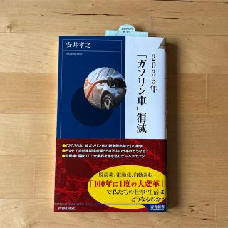 ２０３５年「ガソリン車」消滅(その他)