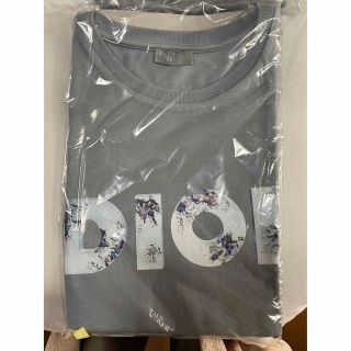 クリスチャンディオール(Christian Dior)のChristian Dior メンズTシャツ(Tシャツ/カットソー(半袖/袖なし))