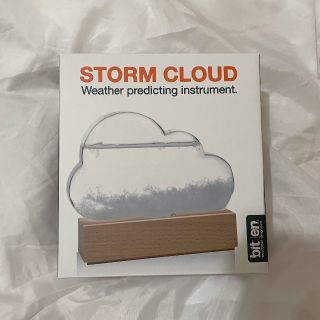 【ヒロ様専用】STORM CLOUD ストームクラウド (置物)