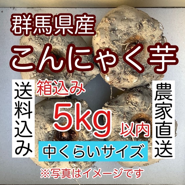 【群馬県産】こんにゃく芋　箱込み5kg以内　手作りこんにゃく用【中くらいサイズ】 食品/飲料/酒の食品(野菜)の商品写真