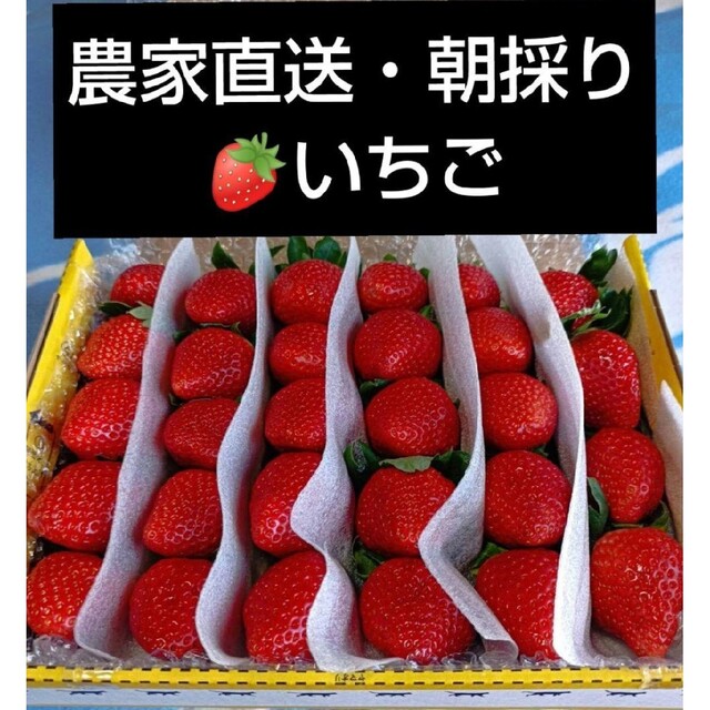 絶品!!完熟いちご(^-^)ゆうべに 食品/飲料/酒の食品(フルーツ)の商品写真