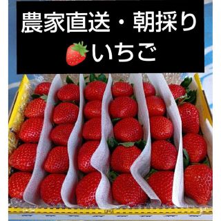 絶品!!完熟いちご(^-^)ゆうべに(フルーツ)