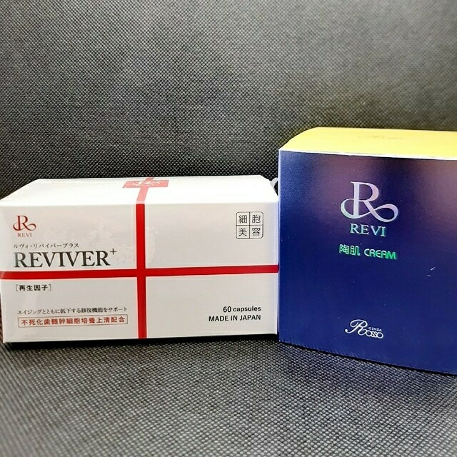 御出産御祝 御祝 出産祝い REVI ルヴィ 陶肌ファンデーション ケース付