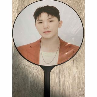 セブンティーン(SEVENTEEN)のSEVENTEEN Be the sun ウジ　Woozi  セブチ　ドーム(アイドルグッズ)