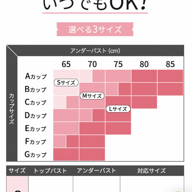 GYDA(ジェイダ)のAGARISM  GYDA スタイリング ブラ Ｌサイズ  アガリズム レディースの下着/アンダーウェア(ブラ)の商品写真