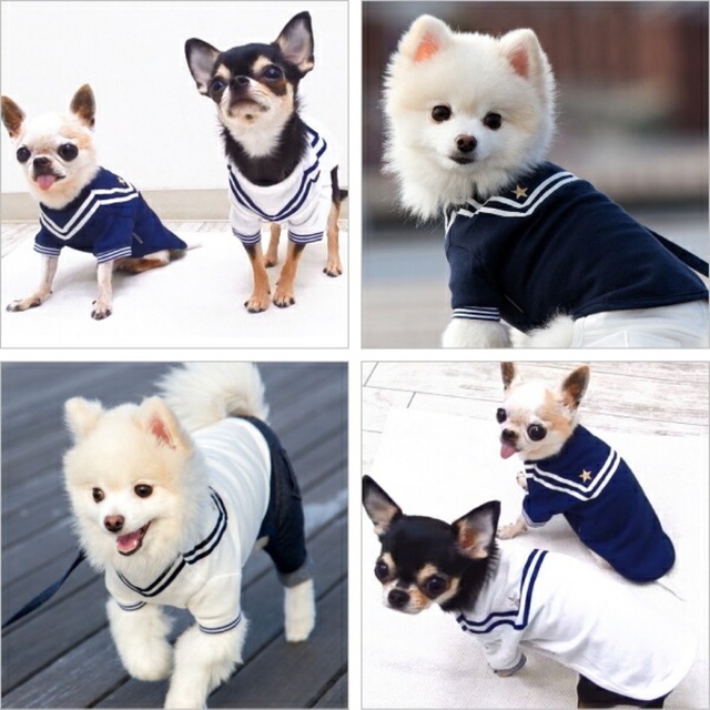 ペット用品　ペット服　犬服　ドッグウェア　小型犬　ホワイト その他のペット用品(犬)の商品写真