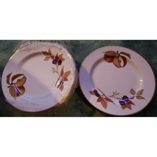 ロイヤルウースター(Royal Worcester)のロイヤルウースター　ROYALWORCESTER イブシャムゴールド（金淵)(食器)