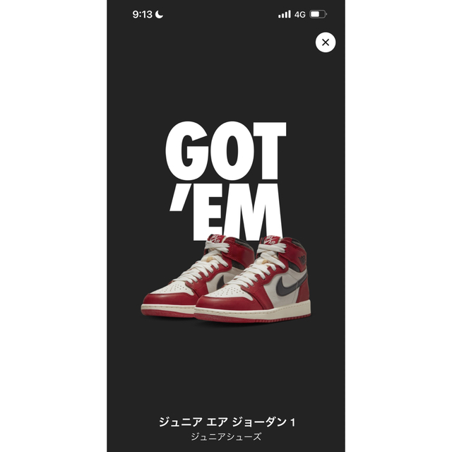 NIKE エアジョーダン1 Chicago GSメンズ