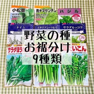 野菜の種 お裾分け 9種類(野菜)