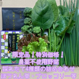 限定品！特別価格！農薬不使用野菜＊採れたて4種類の詰め合せ＊野菜セット＊ネコポス(野菜)