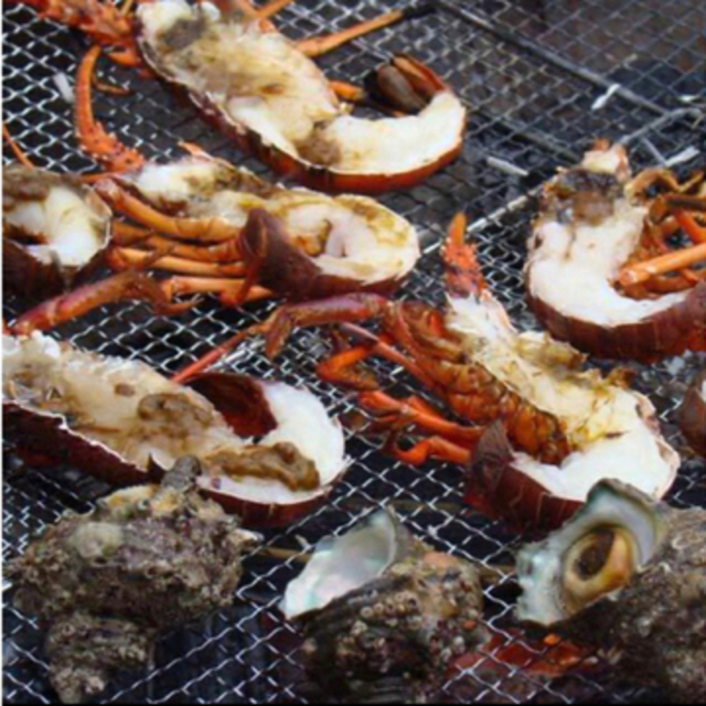 活き伊勢海老　1キロ　送料込み　生き伊勢海老　刺身 食品/飲料/酒の食品(魚介)の商品写真